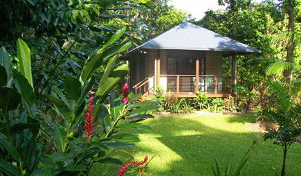 Lost Paradise - Northern Rivers Accommodation 0