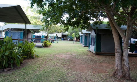 Adels Grove Camping Park - Northern Rivers Accommodation 2