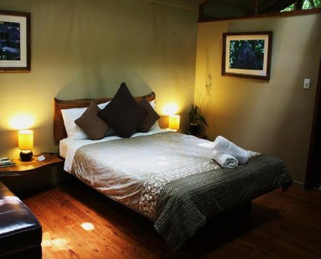 Daintree Wilderness Lodge - Northern Rivers Accommodation 2