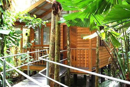 Daintree Wilderness Lodge - Northern Rivers Accommodation 3