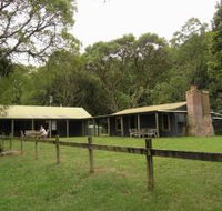 Tree Fern Lodge - Northern Rivers Accommodation