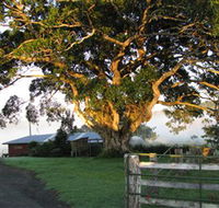 Arley Farm The Old Dairy - Northern Rivers Accommodation