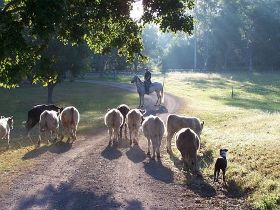 Imbil QLD Northern Rivers Accommodation