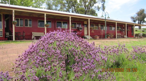 Last Stop Ambledown Brook - Northern Rivers Accommodation 3