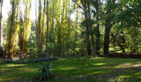 Old England Accommodation - Northern Rivers Accommodation 2