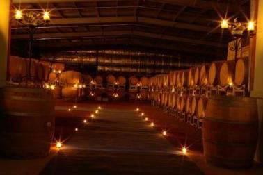 Warrenmang Vineyard & Resort - Northern Rivers Accommodation 5