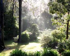 Casuarina Holiday Cottages - Northern Rivers Accommodation 1