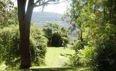 Red Dog Retreat - Northern Rivers Accommodation 1