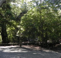 Booderee National Park Green Patch camping area - Northern Rivers Accommodation