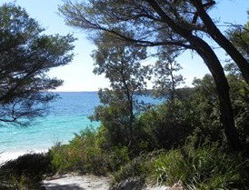 Booderee National Park: Bristol Point Camping Area - Northern Rivers Accommodation 2