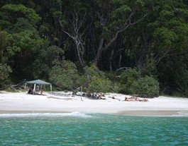 Booderee National Park: Bristol Point Camping Area - Northern Rivers Accommodation 3