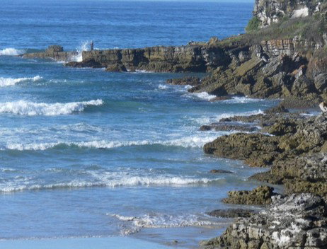 Booderee National Park: Cave Beach Camping Area - Northern Rivers Accommodation 2