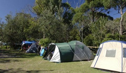 Booderee National Park: Cave Beach Camping Area - Northern Rivers Accommodation 3