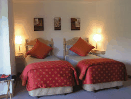 A View Of Mt Warning Bed And Breakfast - Northern Rivers Accommodation 3