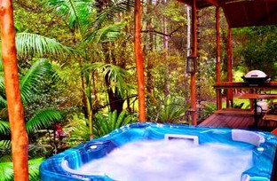 A Waterfall Hideout-Rainforest Cabin For Couples - Northern Rivers Accommodation 5