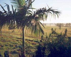 Seeview Farmstay - Northern Rivers Accommodation 1