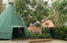 Arts Factory Backpackers Lodge - Northern Rivers Accommodation 0