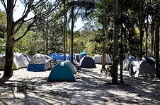 Arts Factory Backpackers Lodge - Northern Rivers Accommodation 3