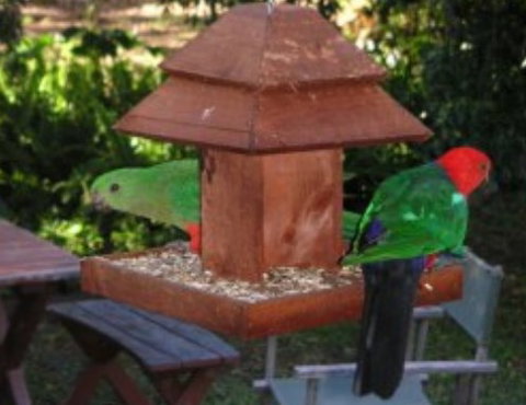 Chauvel Park B And B - Northern Rivers Accommodation 2