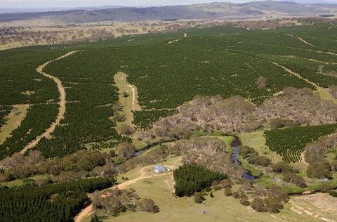 Cochabonddu - Northern Rivers Accommodation 2