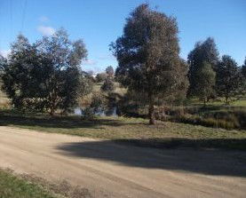 Delegate Caravan Park - Northern Rivers Accommodation 0