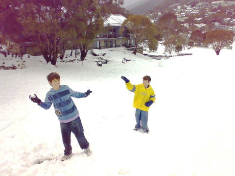 Snowbound Chalets - Northern Rivers Accommodation 0