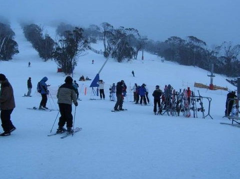 Black Bear Inn - Northern Rivers Accommodation 1