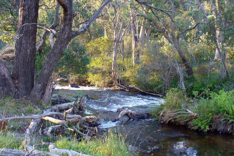 Paddys River Cottage - Northern Rivers Accommodation 2
