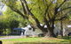 Tumbarumba Creek Caravan Park - thumb 0