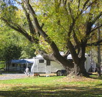 Tumbarumba Creek Caravan Park - Northern Rivers Accommodation