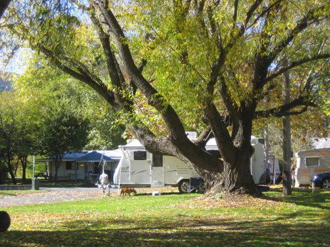 Tumbarumba Creek Caravan Park - Northern Rivers Accommodation 0