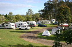 Dawson River Tourist Park - Northern Rivers Accommodation 1