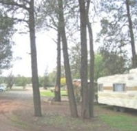 The Kelpie Caravan Park - Northern Rivers Accommodation
