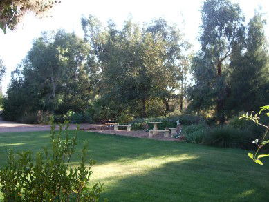 Wilga Park Cottage - Northern Rivers Accommodation 4