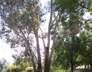 The Church House B And B - Northern Rivers Accommodation 0