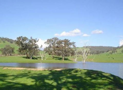 Hillview Farmstay - Northern Rivers Accommodation 0
