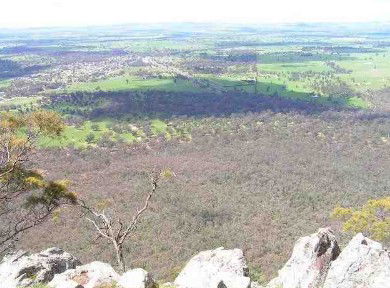 Henty Central Bed And Breakfast - Northern Rivers Accommodation 3