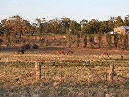 Junee Motor Inn - Northern Rivers Accommodation 2
