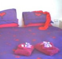 Aloomba Lavender - Accommodation - Northern Rivers Accommodation