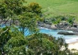 Aqua Bamboo - Northern Rivers Accommodation 0