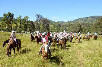 Camp Cobark - Northern Rivers Accommodation 0