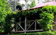 Cedar Creek Vineyard Cottages - thumb 2