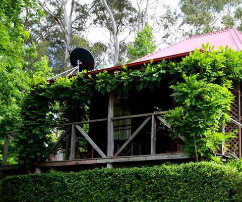 Cedar Creek Vineyard Cottages - Northern Rivers Accommodation 2