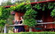 Cedar Creek Vineyard Cottages - thumb 3