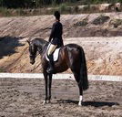 Apptrak Stud - Northern Rivers Accommodation