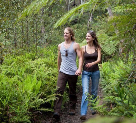 Blackheath Glen Tourist Park - Northern Rivers Accommodation 0