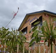 Atlas Motel Dubbo - Northern Rivers Accommodation