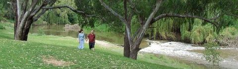 Apex Riverside Tourist Park - Northern Rivers Accommodation 4
