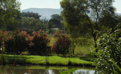 Amazing Country Escapes - Evanslea By The River - Northern Rivers Accommodation 4