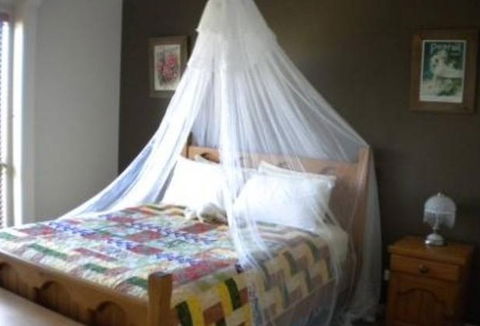 Ba Mack Homestead - Northern Rivers Accommodation 1
